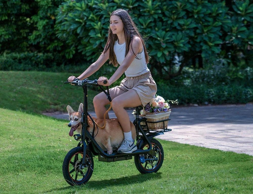 Pogo Cycles